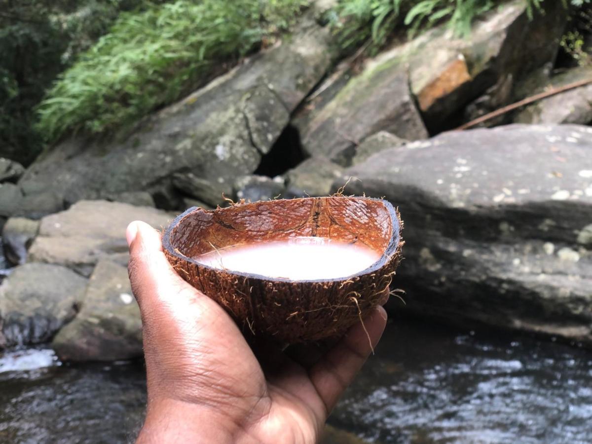Palabaddala Tea And Eco Lodge ラトゥナプラ エクステリア 写真